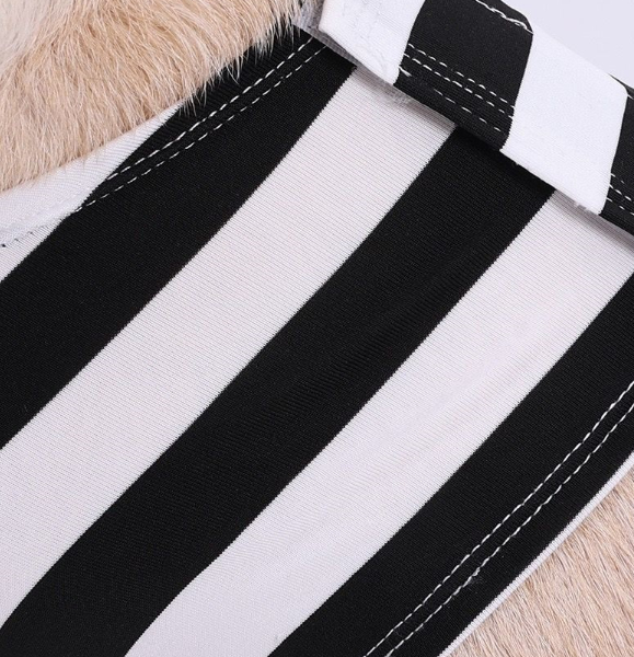 Personalized Halloween Dog Prisoner Pet Costume