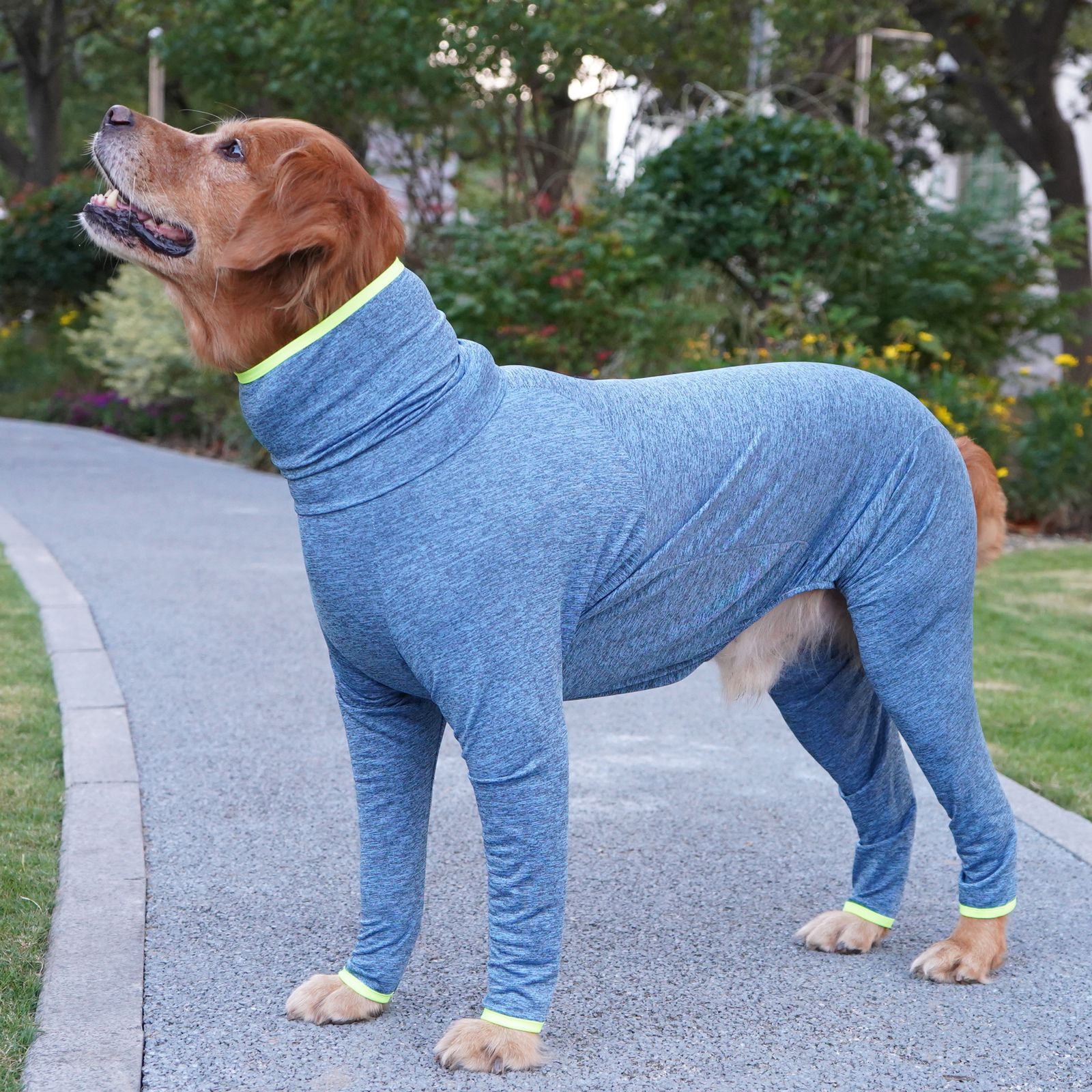 Anti-Static Four-Legged Large Dog Coat image 2