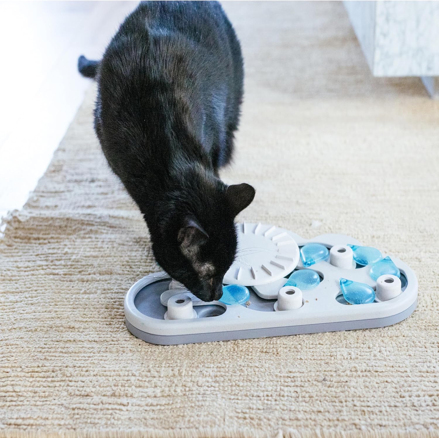 Rainy Day Interactive Cat Treat Puzzle image 4