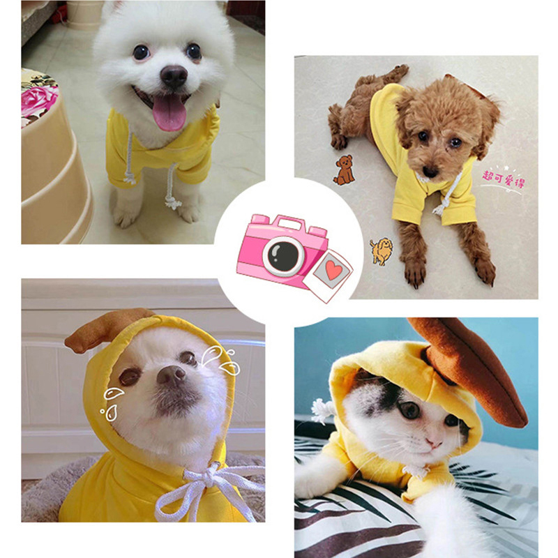 Fruit Fleece Dog Hoodie