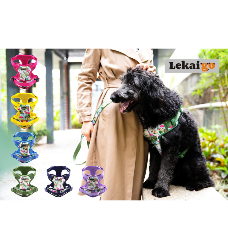 Reflective No-Pull Dog Harness and Leash Set image 5