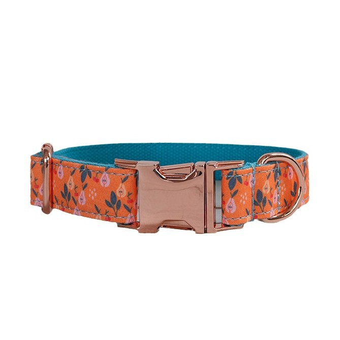 Cherry Pear Dog Collar Pet Supplies image 2