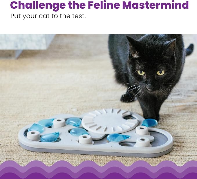 Rainy Day Interactive Cat Treat Puzzle image 3
