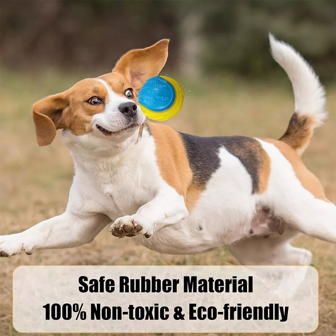 Scooby-Doo Squeaky Dog Ball Set image 3