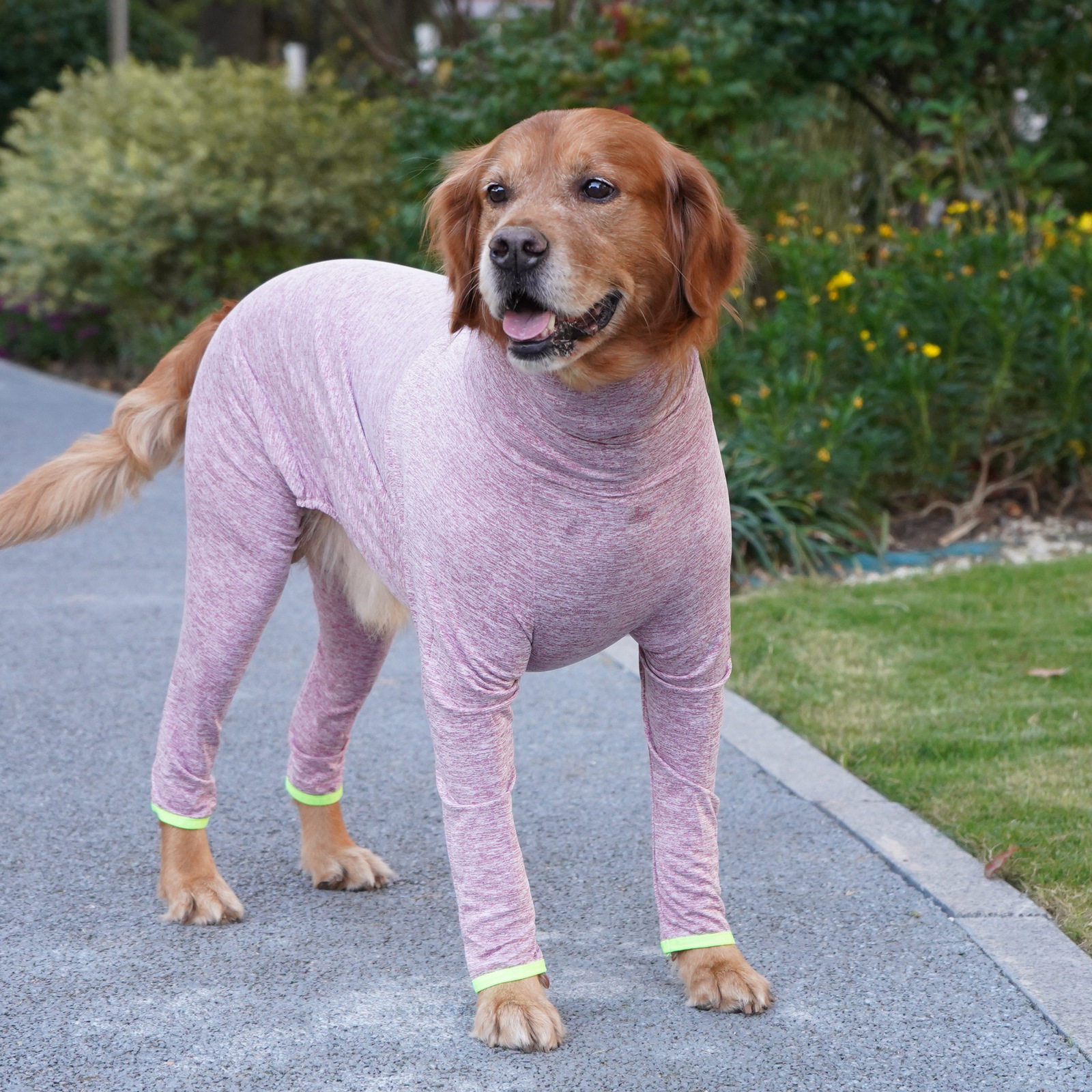 Anti-Static Four-Legged Large Dog Coat image 3