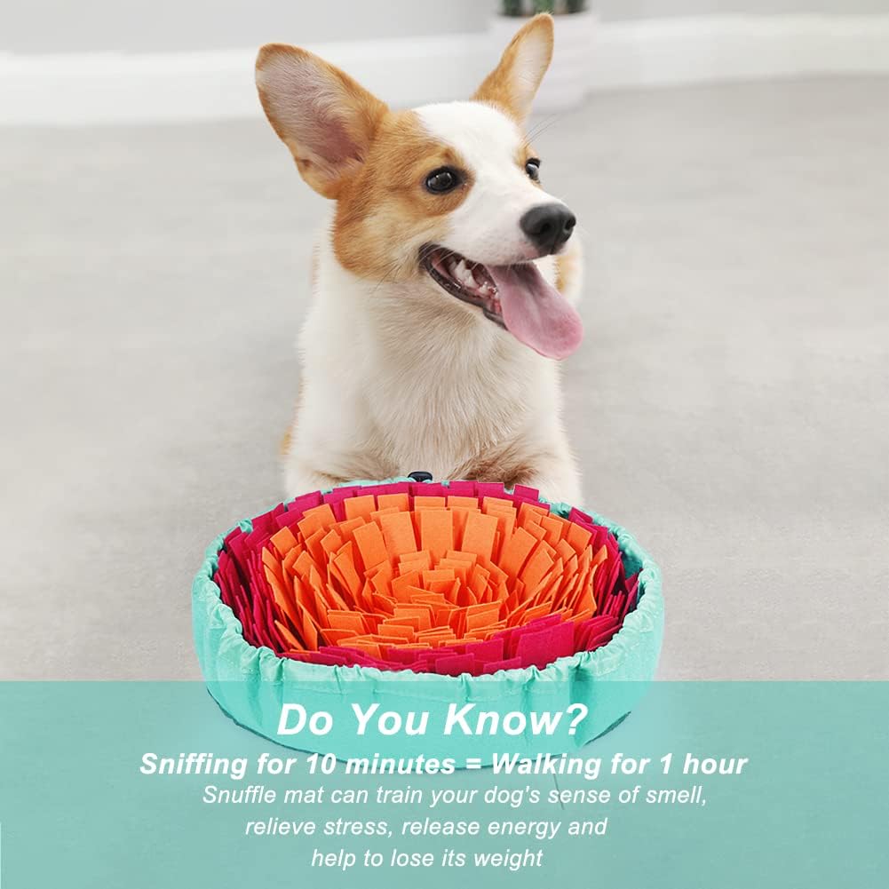Interactive Dog Snuffle Mat for Slow Eating