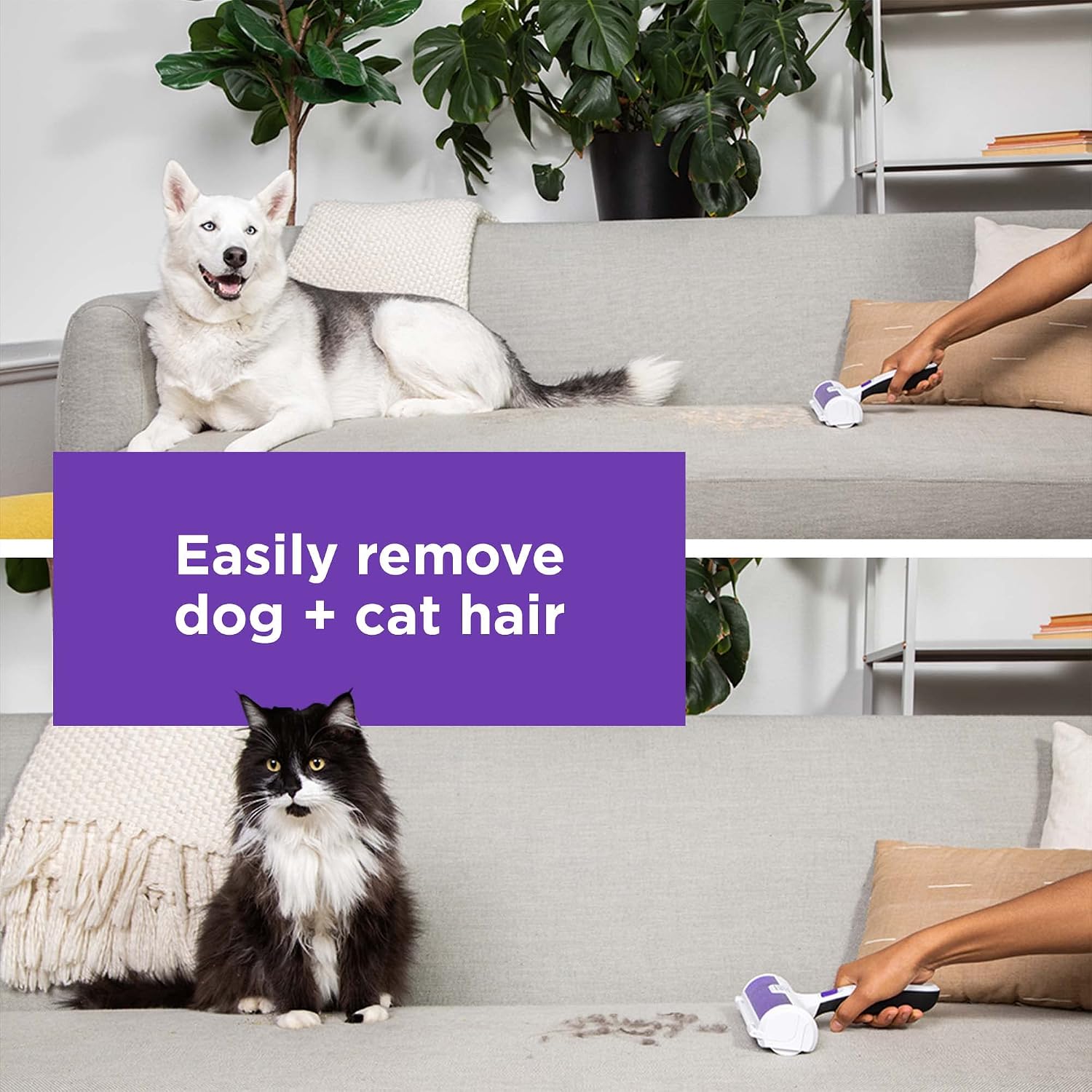 Reusable Pet Hair Remover Roller image 2