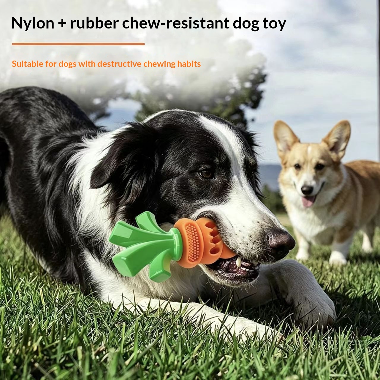 Nylon-rubber Carrot Dog Toydurable Bite-resistant And Leak-proof image 4
