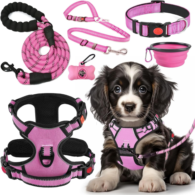 No Pull Dog Harness, Leash & Collar Set image 2