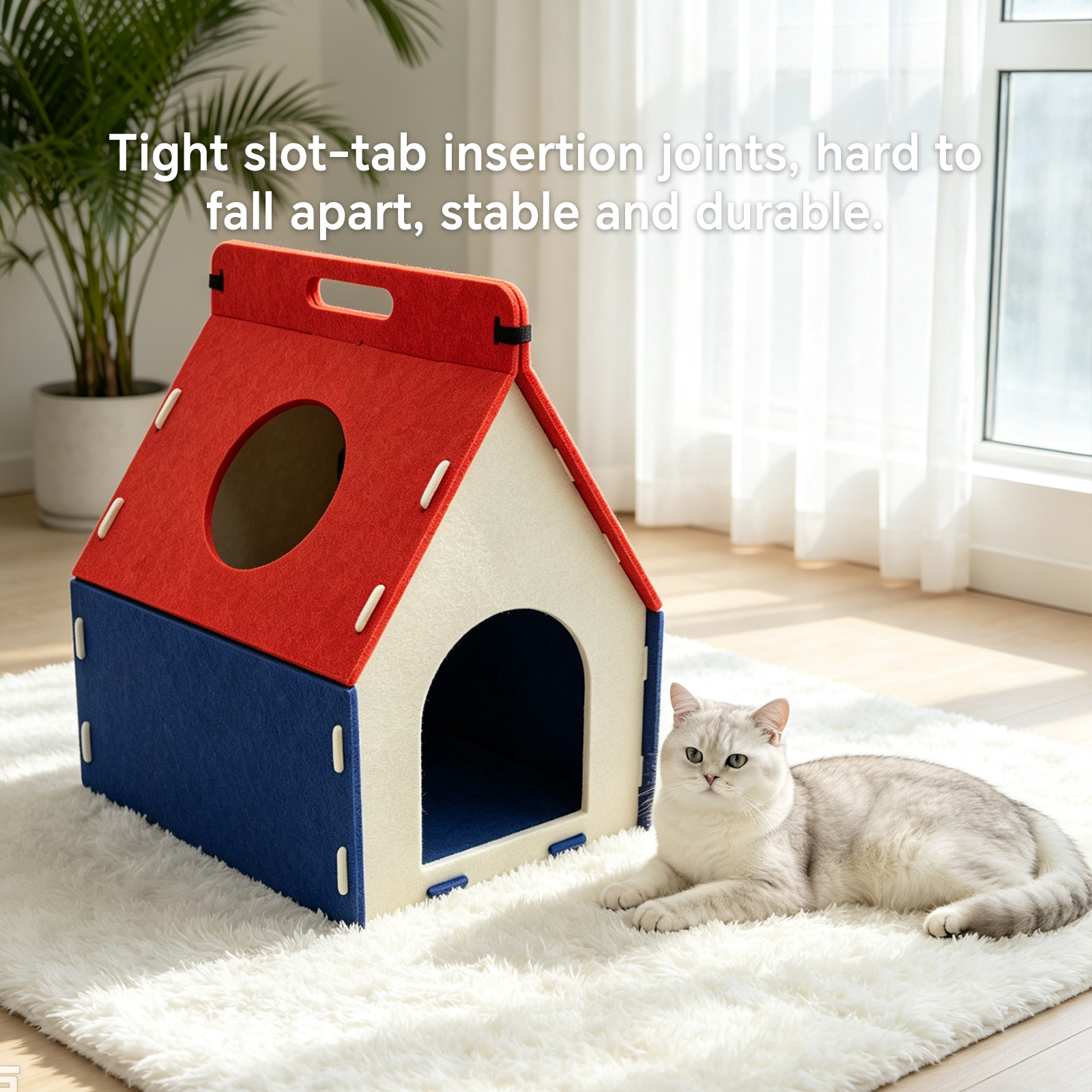 Cat Carrying A House image 3