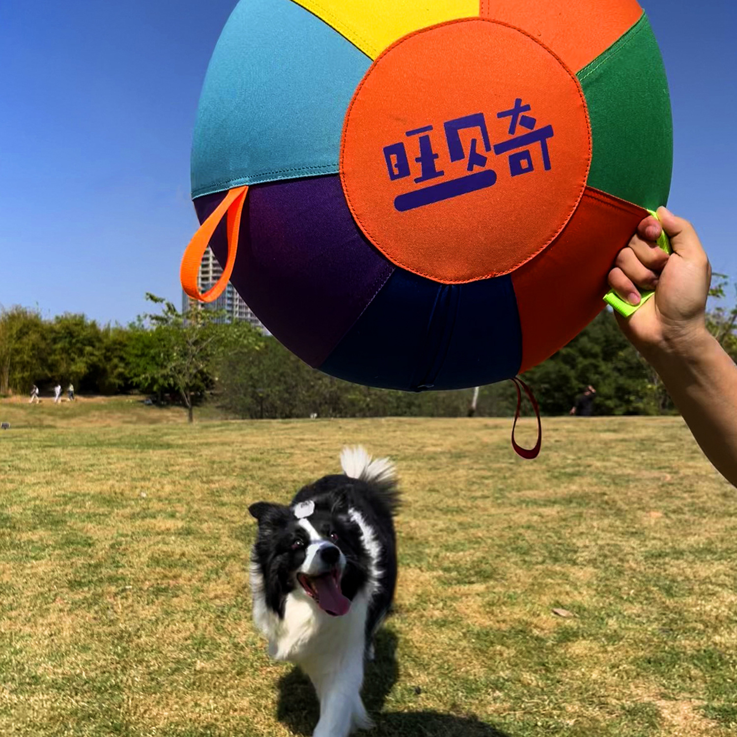 Colorful Inflatable Dog Training Toy image 7
