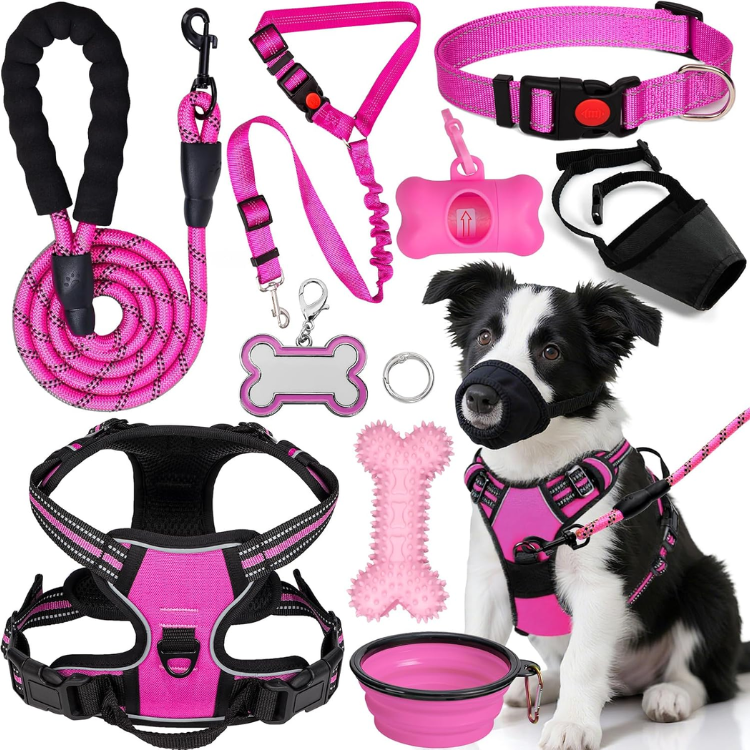 Dog Harness Collar And Leash Set image 5