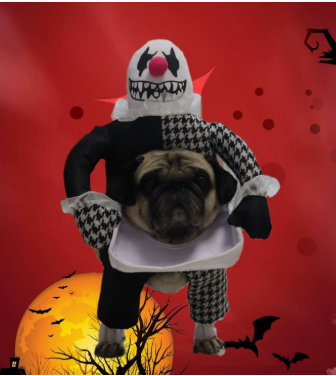Pet Clothing Cat And Dog Apparel Supplies image 13