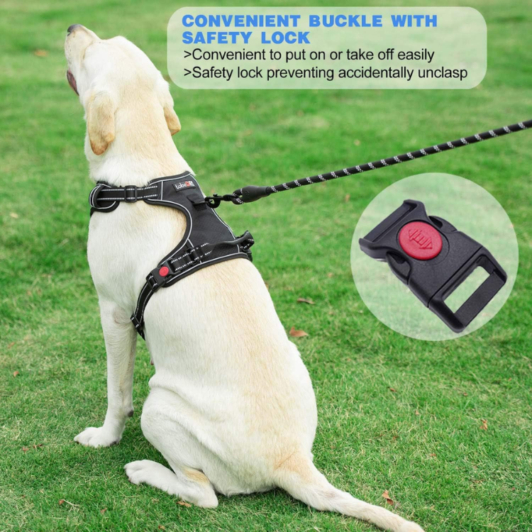 Reflective No-Pull Dog Harness with Leash