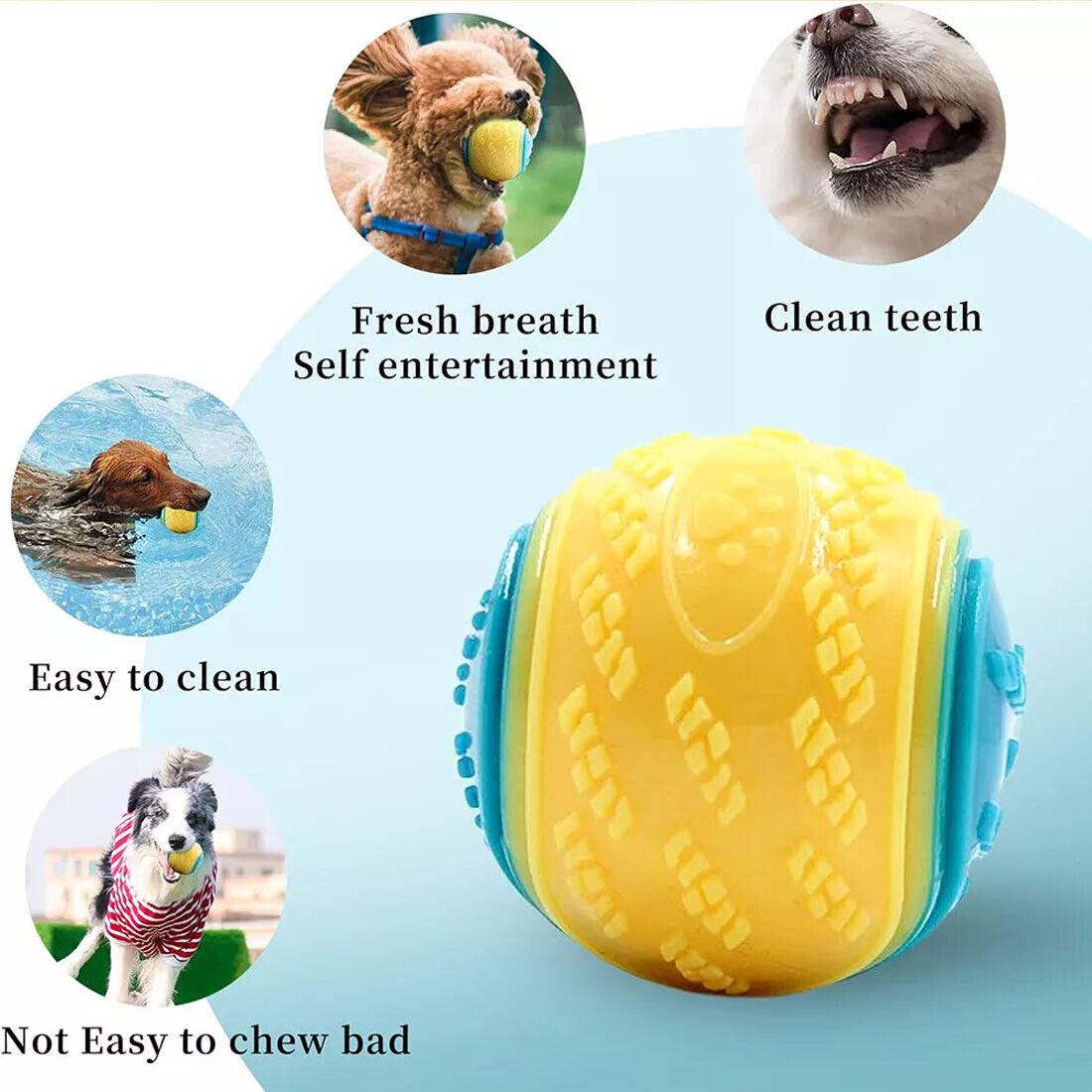 Scooby-Doo Squeaky Dog Ball Set image 15