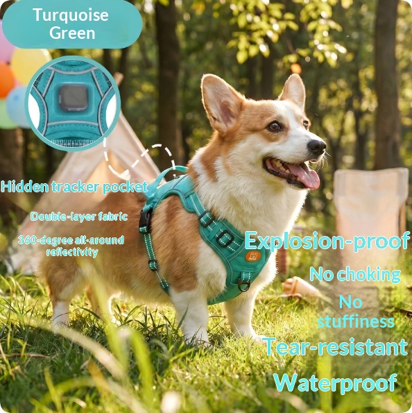 Harness-style Reflective Dog Leash With Anti-pull Feature image 3