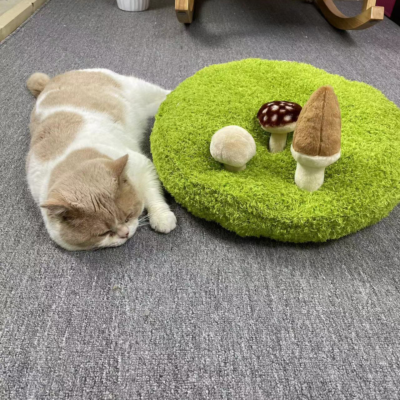 Pet Mat Cat Bed Small Dog And Cat Sleeping Nest image 5