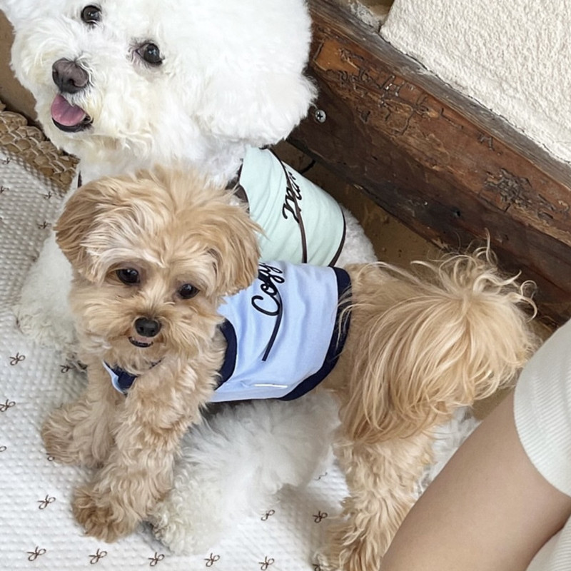 Breathable Summer Mesh Dog Vest Harness image 8