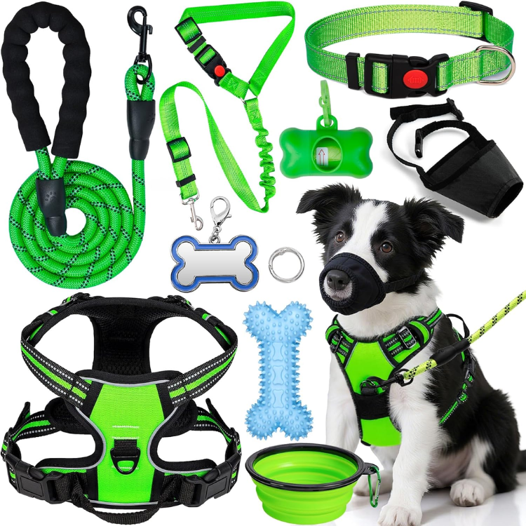 Dog Harness, Collar and Leash Set image 2