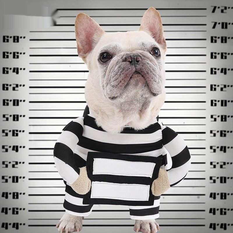Personalized Halloween Dog Prisoner Pet Costume image 5