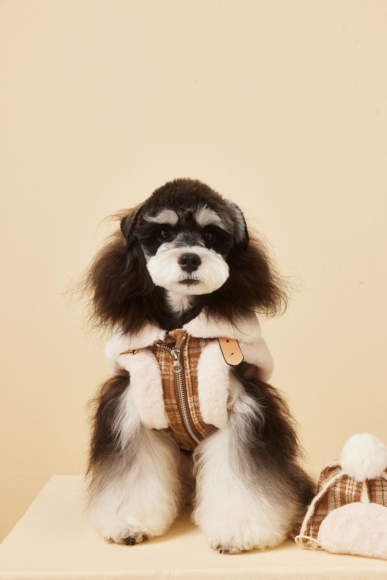 Fashionable Winter And Autumn Dog Clothing Jacket image 8