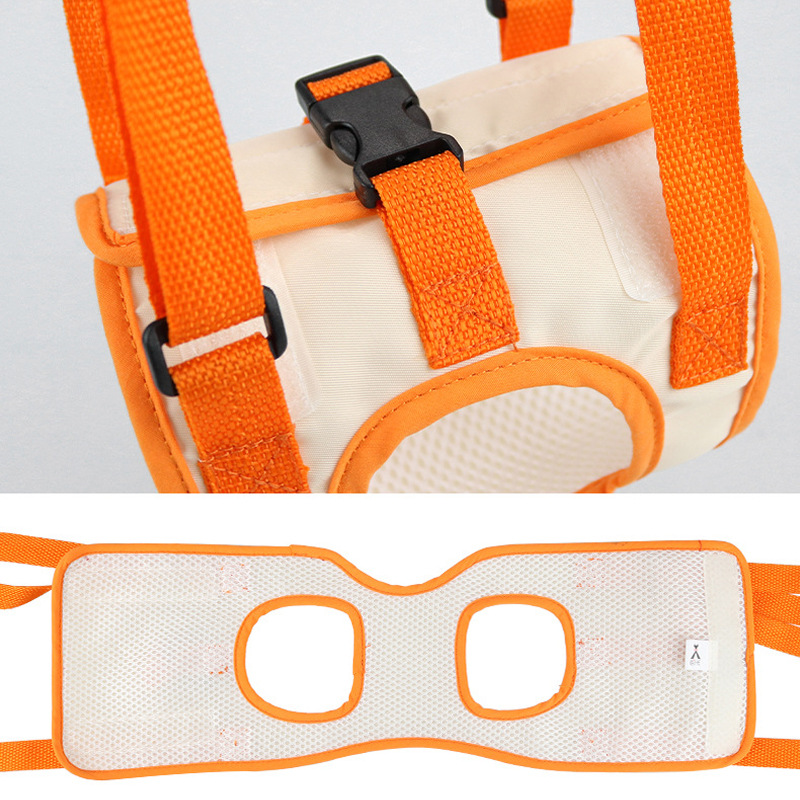 Rear Support Dog Lift Harness image 5