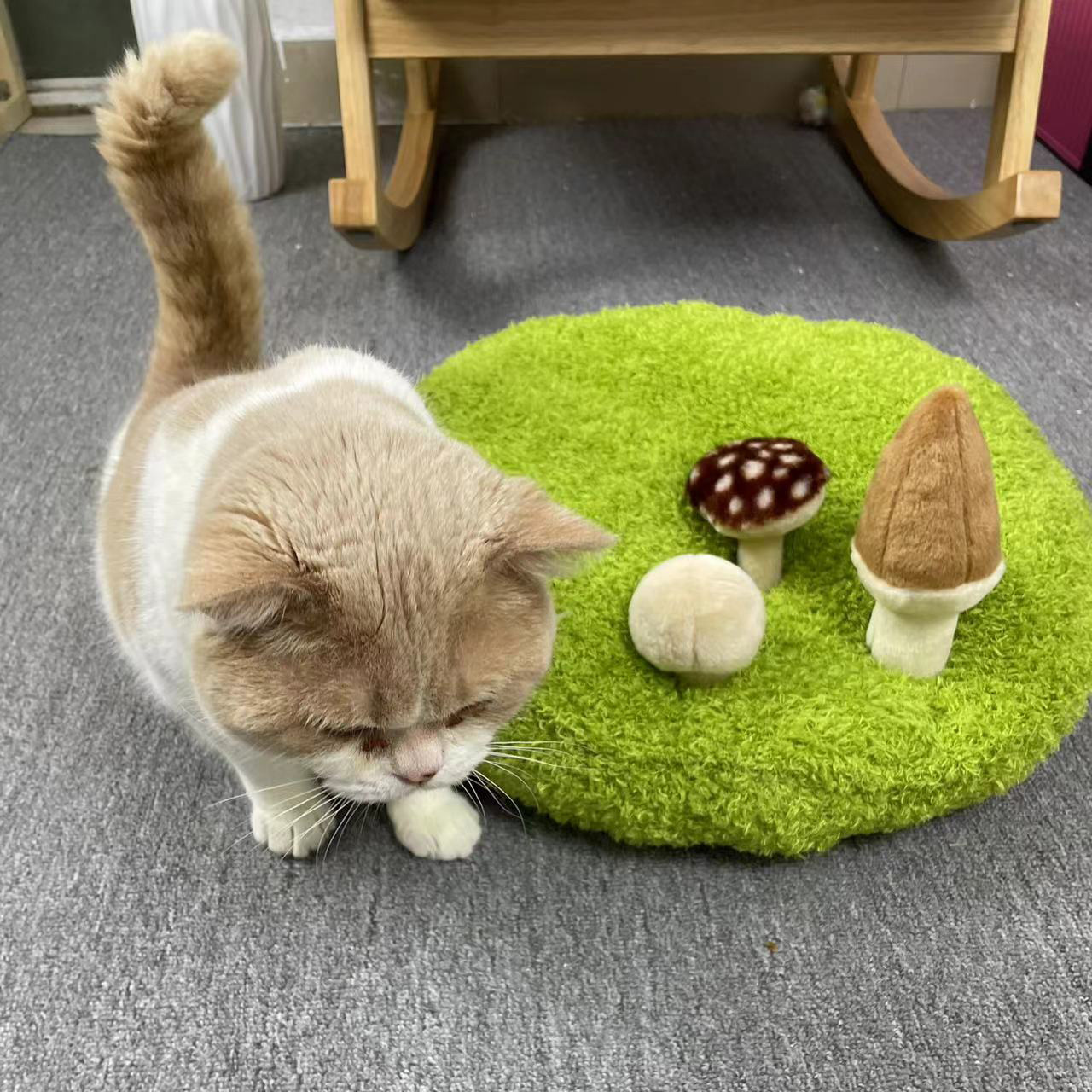 Pet Mat Cat Bed Small Dog And Cat Sleeping Nest