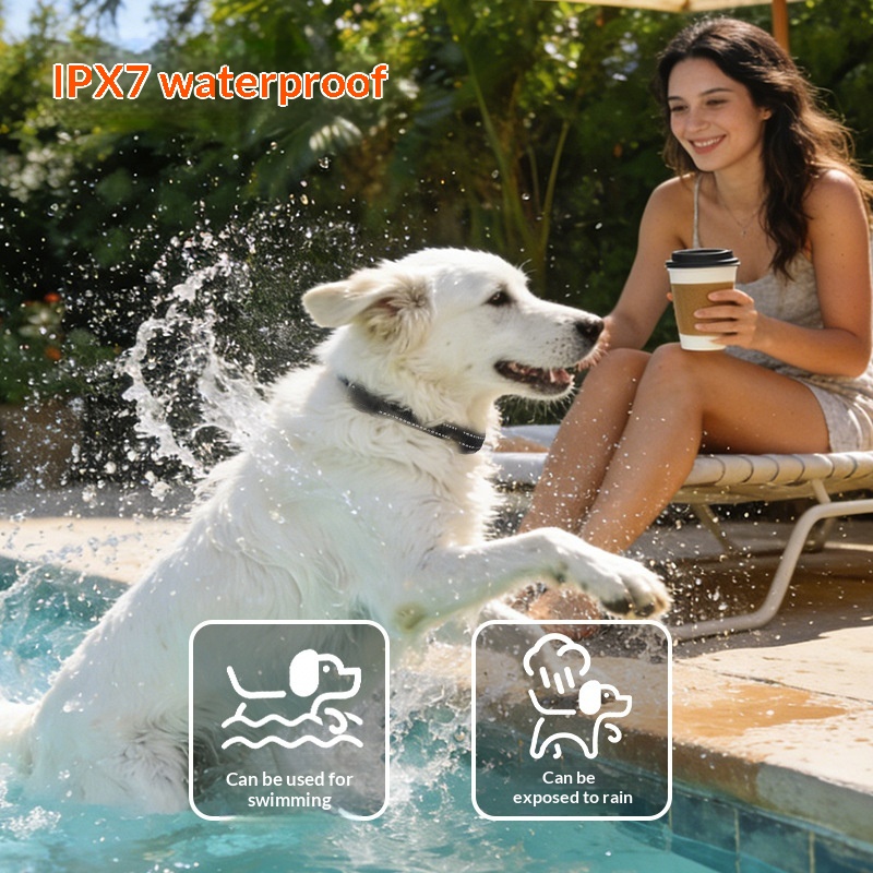 New Anti-riot And Smart Dog Leash2-in-1