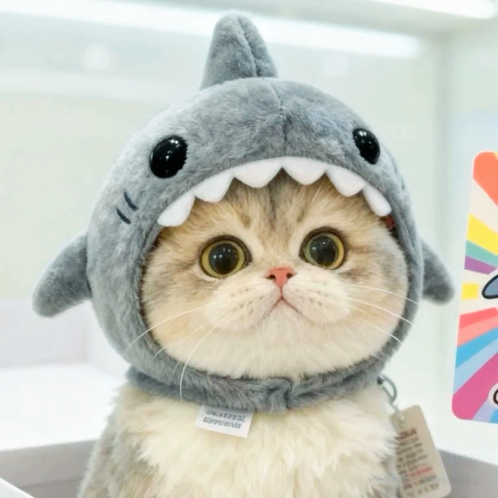 Warm Pet Cat Shark Headgear