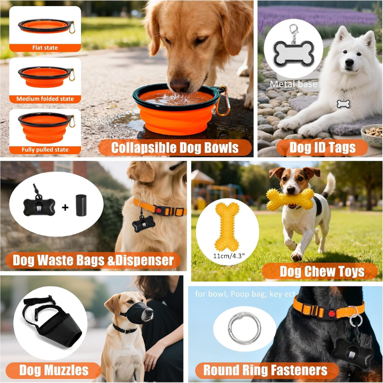 Dog Harness Collar And Leash Set