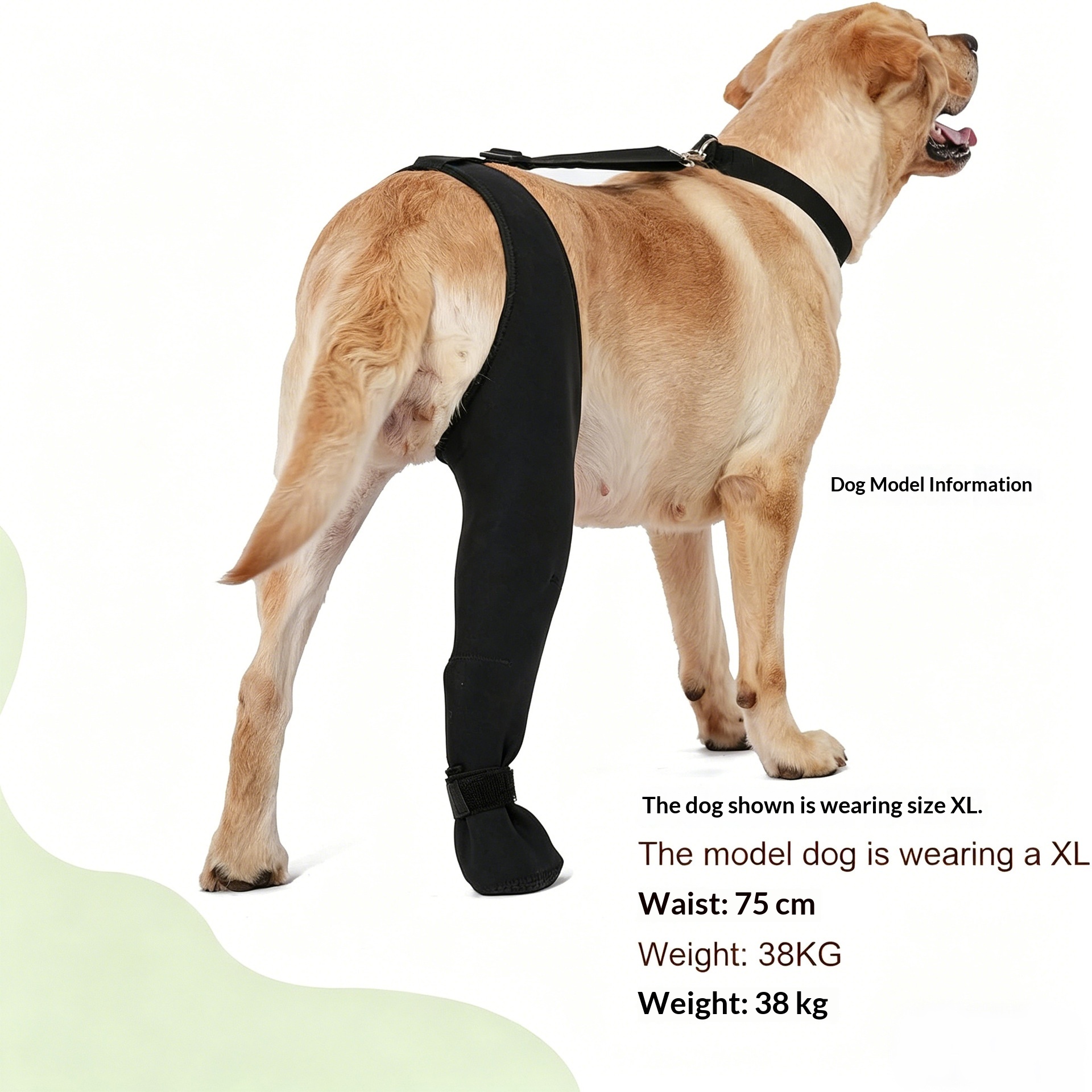 Pet Knee Brace for Ligament Support