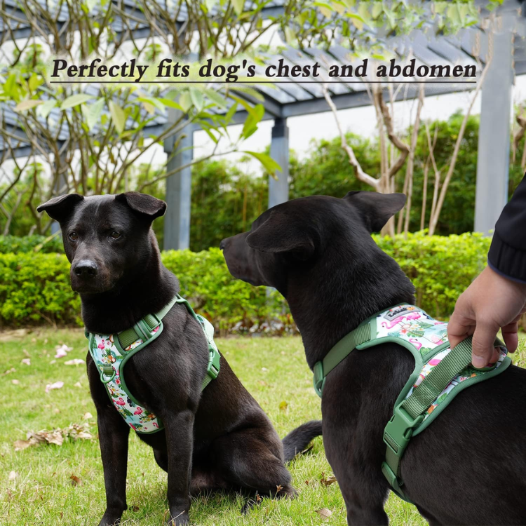 Reflective No-Pull Dog Harness and Leash Set image 3