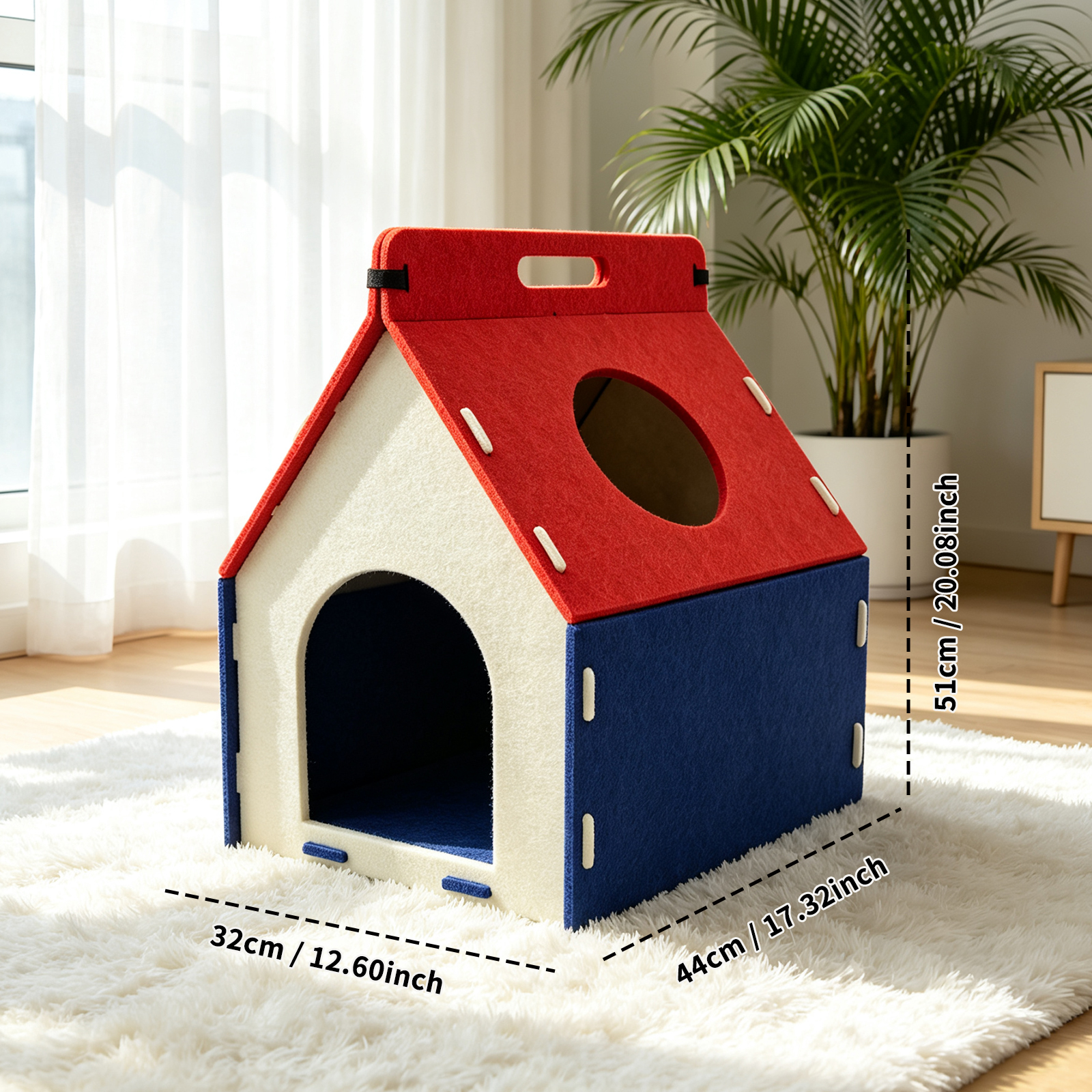 Cat Carrying A House image 8