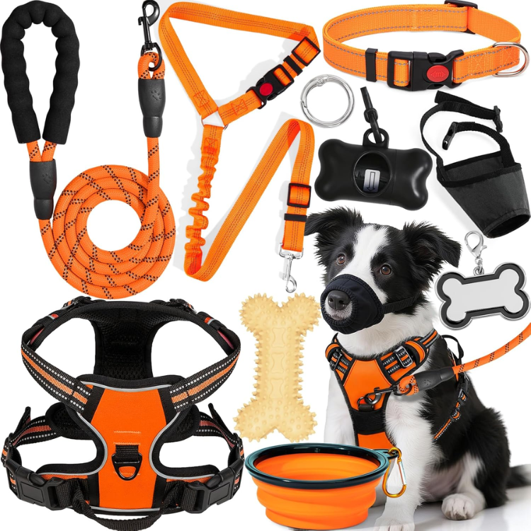Dog Harness Collar And Leash Set image 2