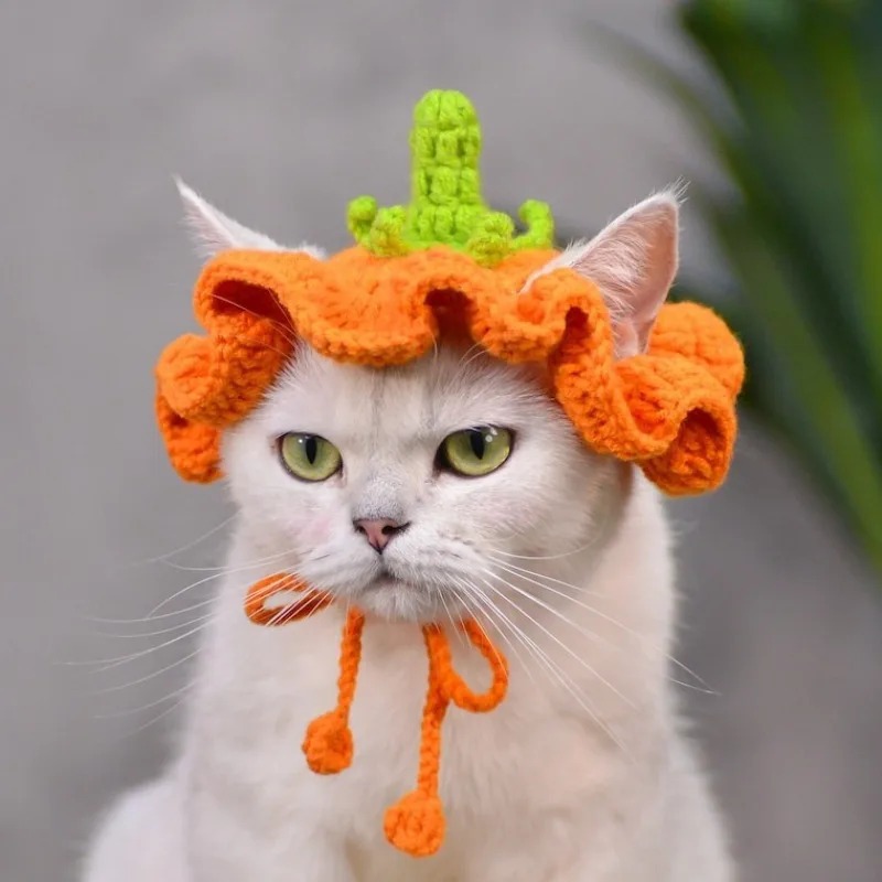 Hand-crocheted Cat Pumpkin Pet Hat image 4