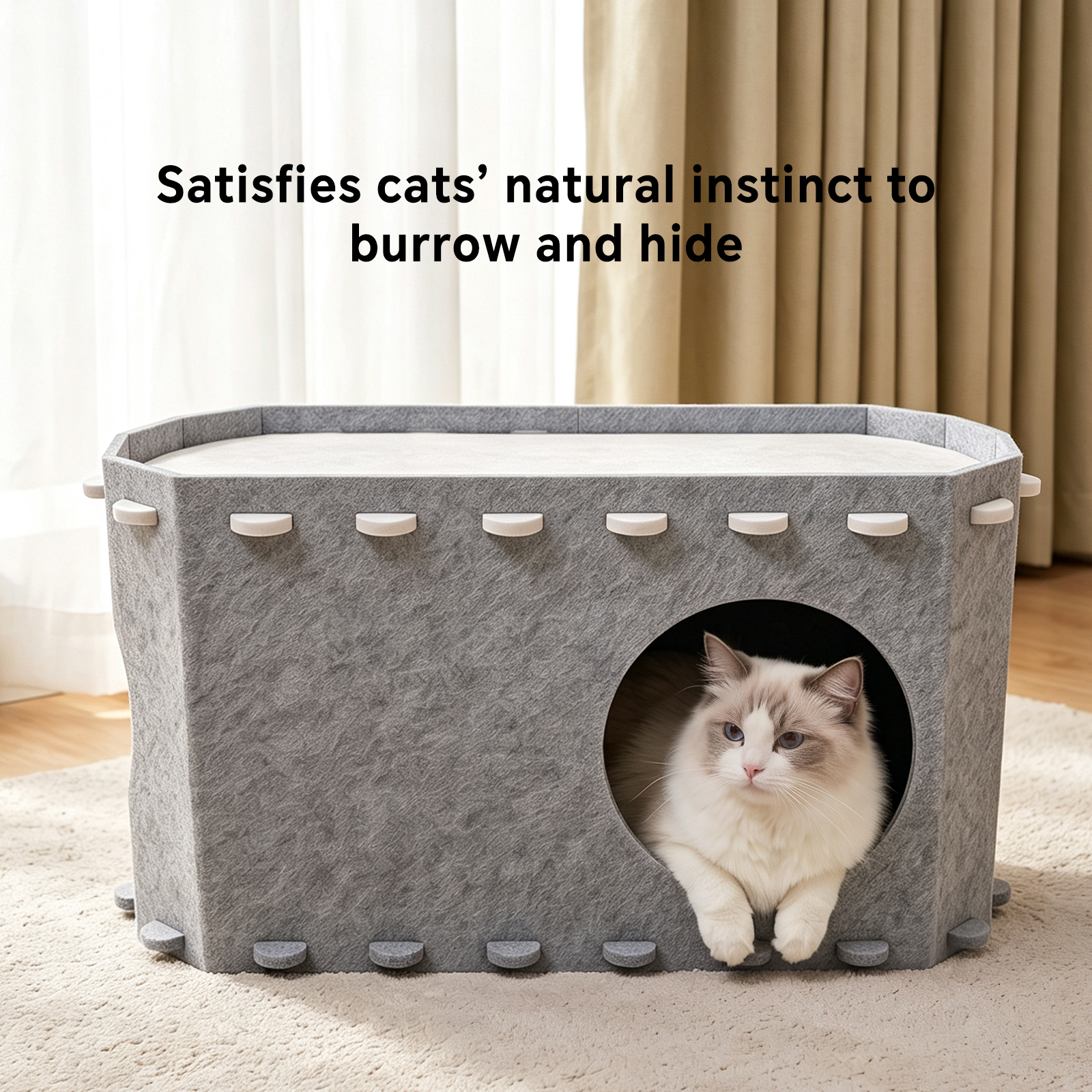 Cat House Petting Room image 6