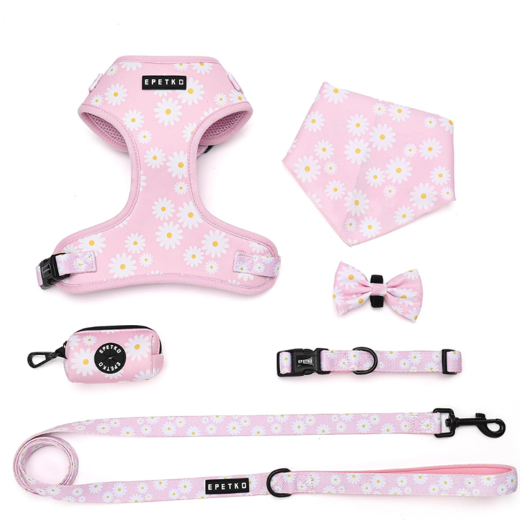 Floral Mesh Small Dog Harness and Leash Set image 4