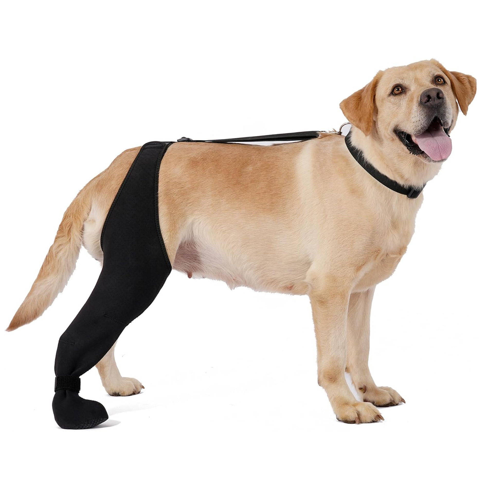 Pet Knee Brace for Ligament Support image 3