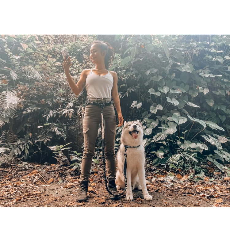Tuff Pupper Hands-Free Bungee Dog Leash