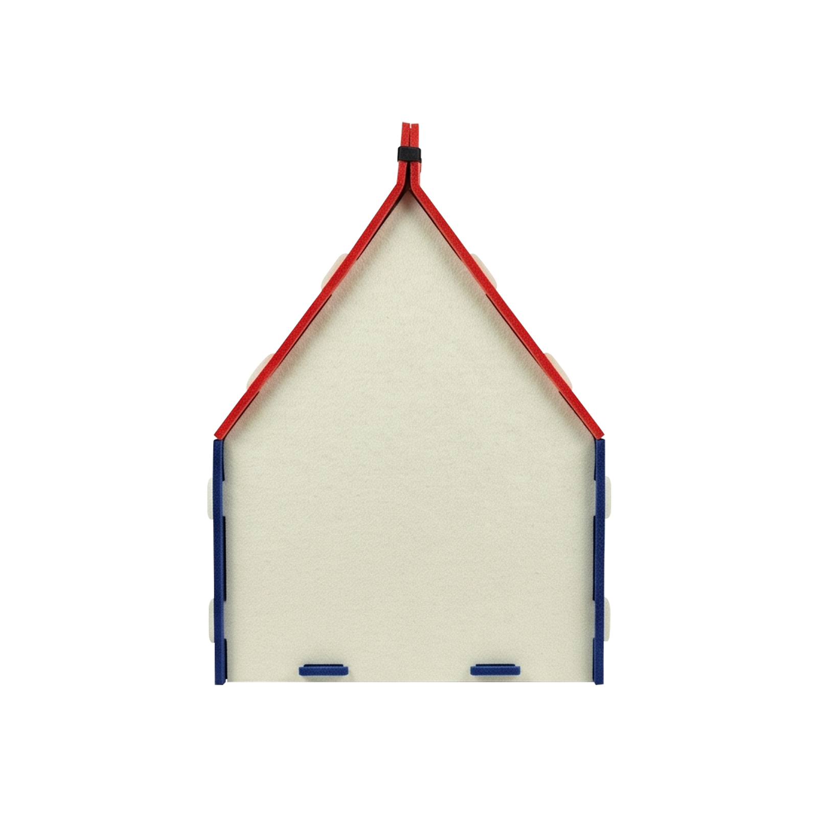 Cat Carrying A House