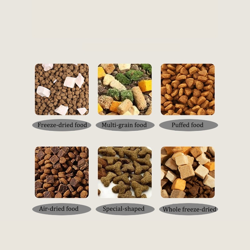 2 In 1 Automatic Cat Feeder Water Dispenser Dry Wet Pet Dog Puppy Food Dispenser