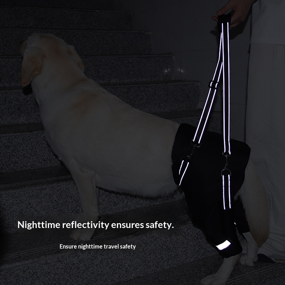 Dog Rear-Leg Rehabilitation Assist Harness image 6