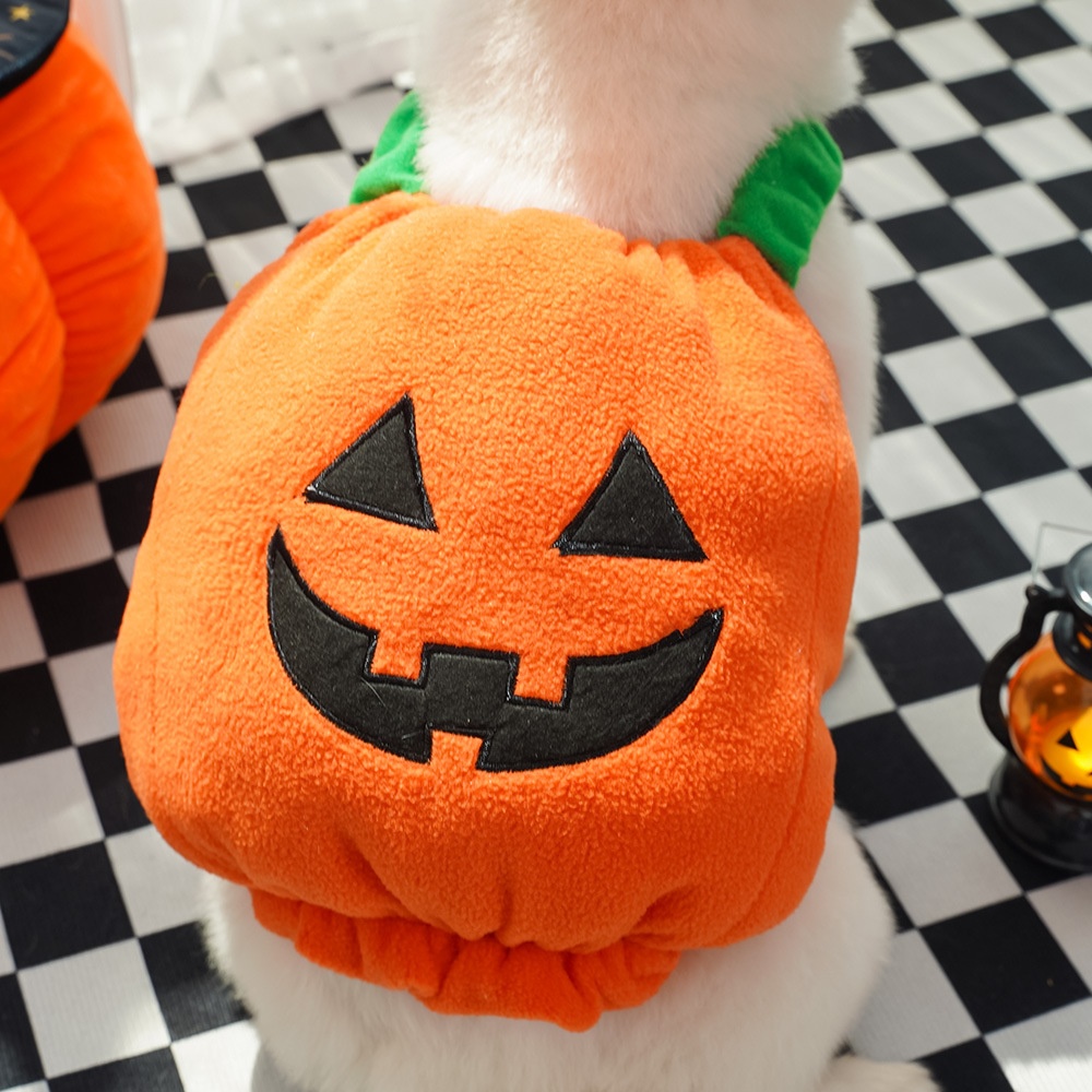Pet Clothing Cat And Dog Apparel Supplies image 11
