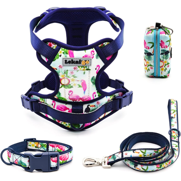 Reflective No-Pull Dog Harness and Leash Set image 4