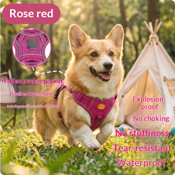 Harness-style Reflective Dog Leash With Anti-pull Feature image 4
