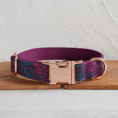 Glow-in-the-dark Forest Dog Collar Pet Supplies Export Leash Set Rose Gold Buckle
