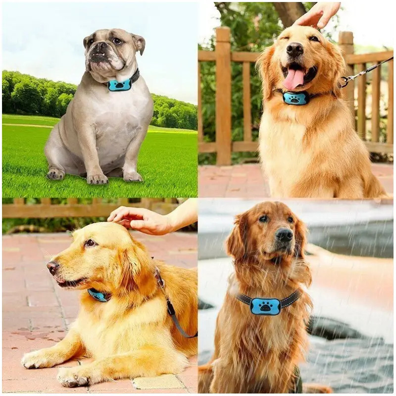 3-in-1 Anti-Bark Dog Training Collar image 12