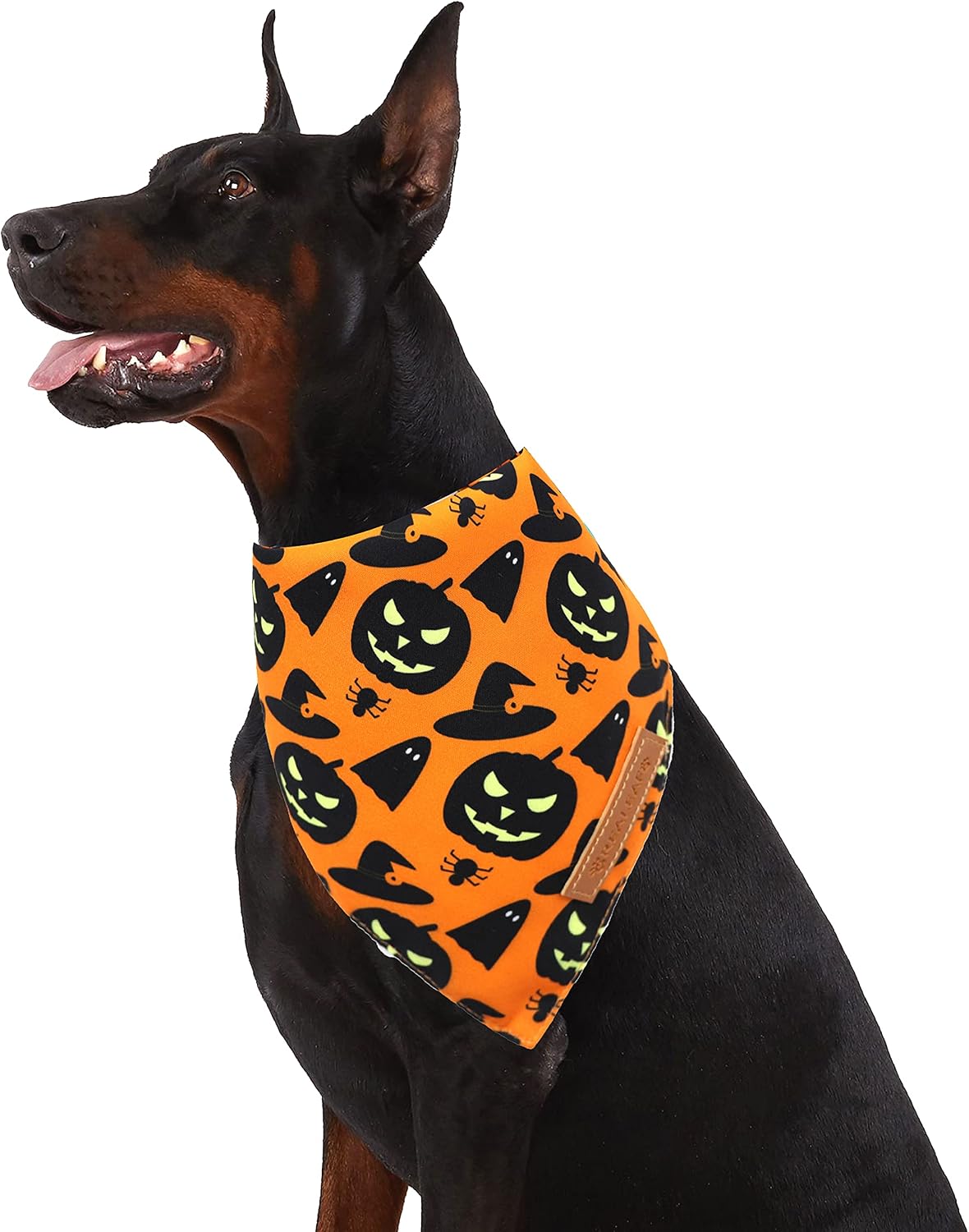 PlusPet Reversible Fall Dog Bandana 2 Pack image 2