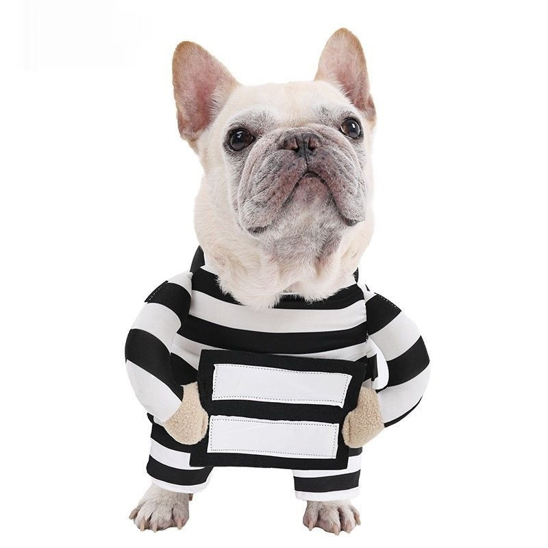 Personalized Halloween Dog Prisoner Pet Costume image 6