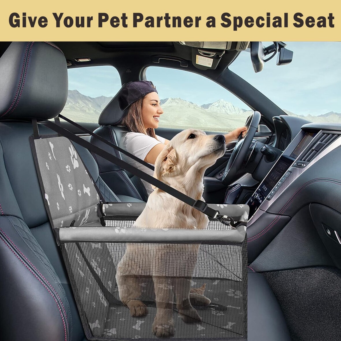 Portable Dog and Cat Travel Car Seat